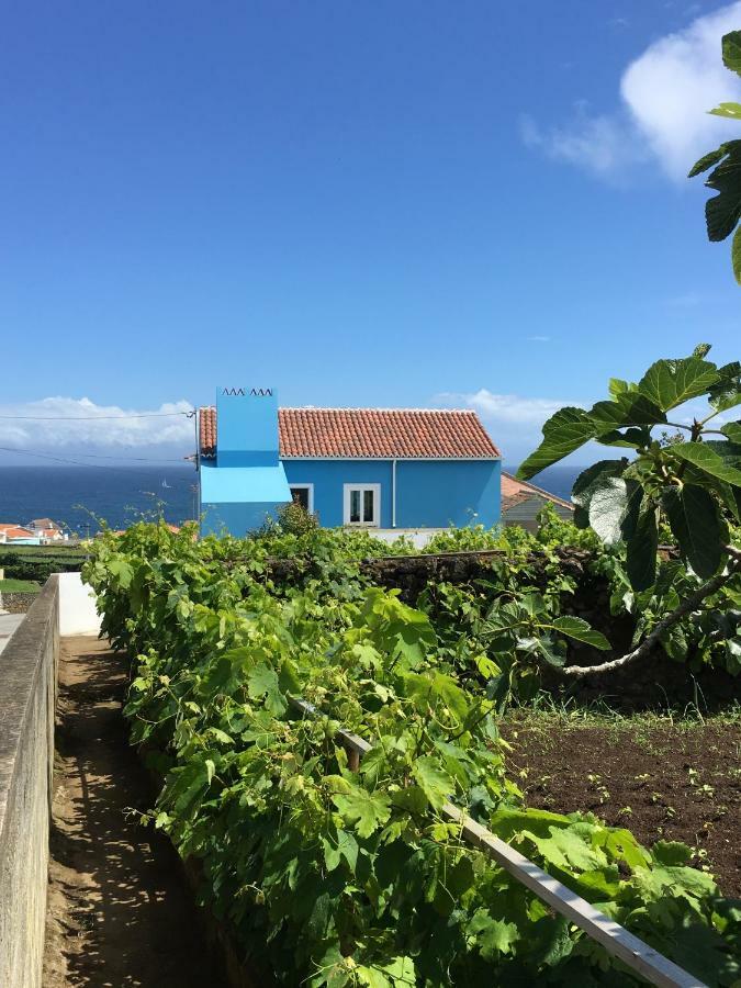 Casa Do Vizinho Villa Porto Judeu ภายนอก รูปภาพ